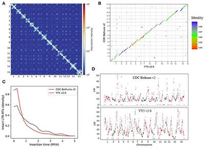 Chromosome-Level Genome Assembly and Annotation of the Fiber Flax (Linum usitatissimum) Genome